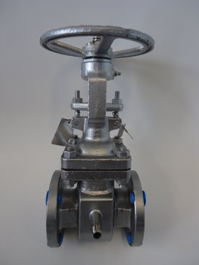 Steamjacket DN50 Gate Valve